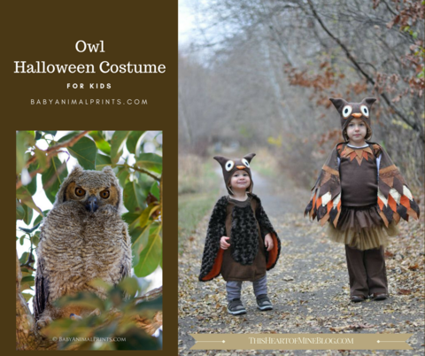 4 Adorable Homemade Animal Halloween Costumes for Your Kid – Baby Animal  Prints by Suzi