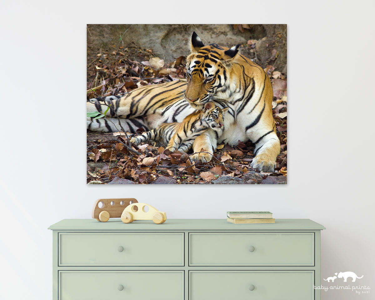 Tiger Mom and Cubs in Den Photo – Baby Animal Prints by Suzi