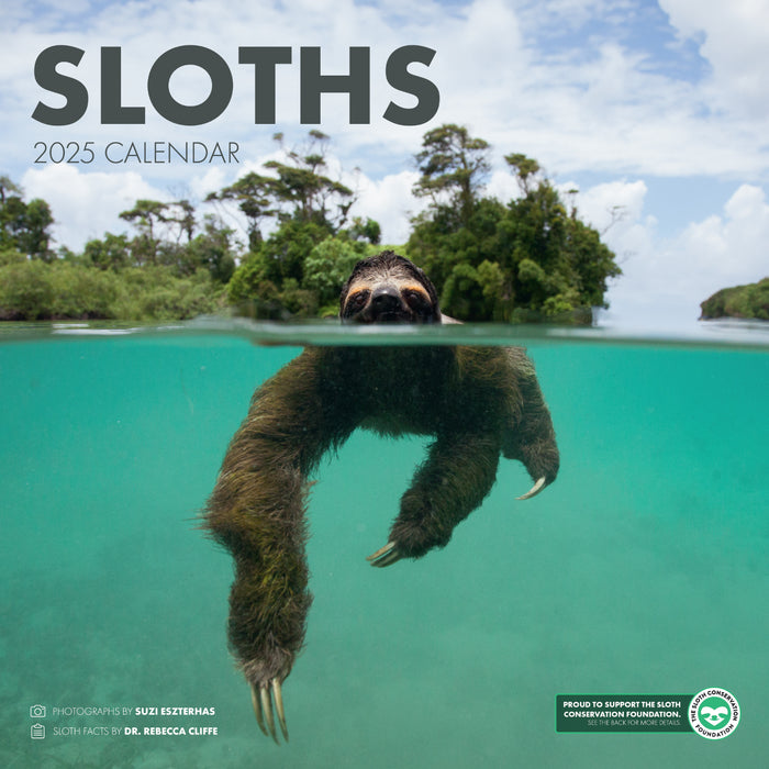 Sloths 2025 Wall Calendar