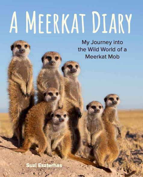 Children's Book, A Meerkat Diary (Pre-Order)